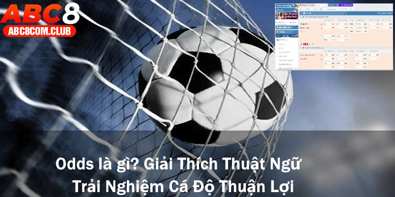 Odds là gì - Giải Thích Thuật Ngữ Trải Nghiệm Cá Độ Thuận Lợi